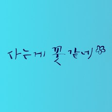 기분꽃같네