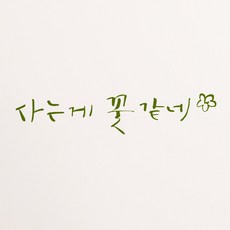 기분꽃같네