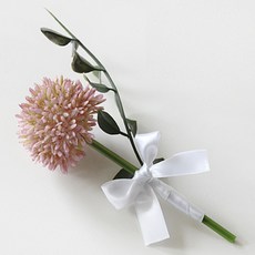 부토니에코사지