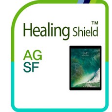 힐링쉴드아이패드프로