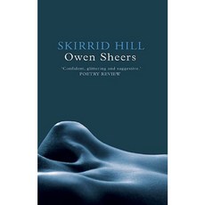 Skirrid Hill Paperback, Seren Books