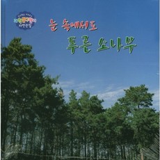 초등자연관찰책