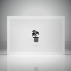 몬스테라아트보드