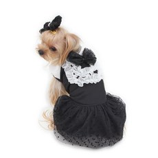 루이독미니드레스