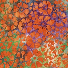 b0d4db5d-918b-432f-9ab6-4b2f2e3b27ce.jpg