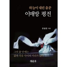 [새문사]이매방 평전 : 하늘이 내린 춤꾼, 새문사