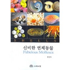 북스힐과학기술의역사