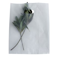티나피크닉 손잡이 비닐쇼핑백 50p
