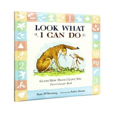 하우포지955qdual