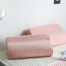 쉬즈홈 힐링 피그먼트 메모리폼 베개커버