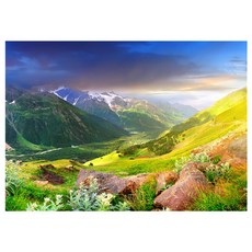 67d4495d-31ae-4e49-86f4-0ee91bfdcc87.jpg