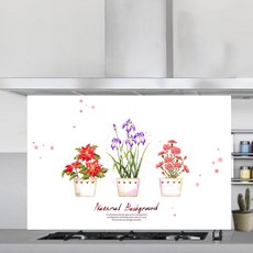 주방아트보드화분