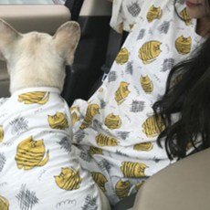 諾蘭加菲貓小狗主人情侶衣服, 黃色