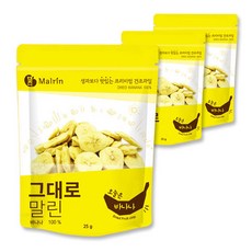 그대로말린 건조과일 오늘은 바나나, 25g, 3개입