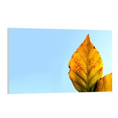 유브이디에스 아트보드 주방시트지 푸른하늘의 나뭇잎, 1개