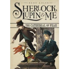 The Cathedral of Fear Paperback, Stone Arch Books