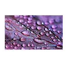 보보아트글라스