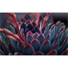 주방식물아트보드