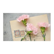 9e5f1eb9-5ffb-4b2c-a211-71b4faa39b86.jpg