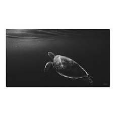 e7ba1665-a0ee-495f-b963-41df6b014ff7.jpg