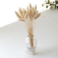 99d1b7ed-714e-4d64-970d-6aa8d2741bb5.jpg