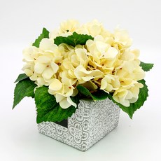 5554cdae-510a-4920-977e-cb1ec3fa52d1.jpg