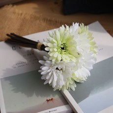 086fb8a6-ba1d-4358-be8f-1bc82a3f92e4.jpg