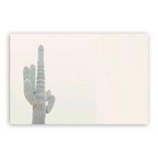 주방식물아트보드