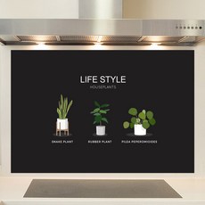 몬스테라아트보드