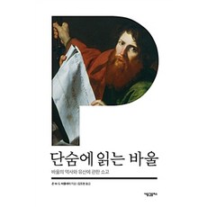 [새물결플러스]단숨에 읽는 바울, 새물결플러스 새물결플러스