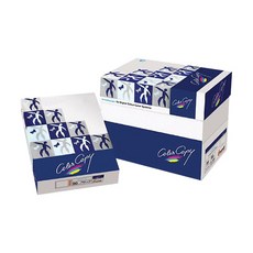 몬디 컬러카피 칼라레이저 전용 복사용지 200g 유광 5p, A4, 1250매