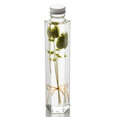 ilogu 植物標本室6角瓶, 復古綠色