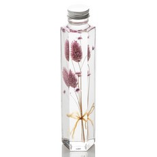 ilogu 植物標本室6角瓶, 紫色的