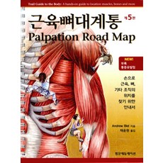 근육뼈대계통범문