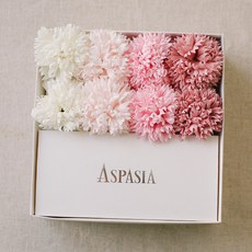 아스파시아 비누꽃 그라시에 플라워 용돈박스, 핑크
