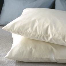 19aca21e-90e8-4b3c-a81d-1c045b82d7e3.jpg