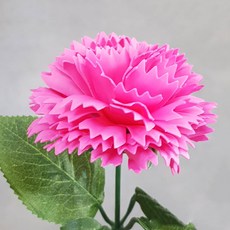 331f47a5-778e-4358-9b1d-41cfddcf918f.jpg