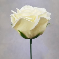 031d0487-f952-4215-9a70-73b885b0a7e5.jpg