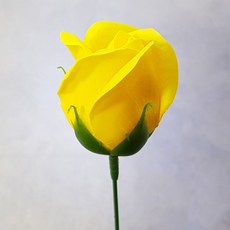a6e039f3-3cc5-45e2-b787-7fbe5189b620.jpg