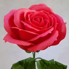 43d6f5d8-af47-46b8-ba56-62e5f57598da.jpg