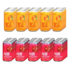 롯데 망고음료 175ml x 30p + 석류 음료 175ml x 30p, 1세트