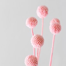 78b6bc88-528b-416c-b63c-56de3856c0ab.jpg