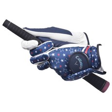 쉐브17