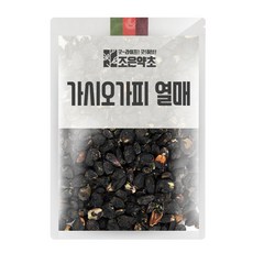 굿허브 프리미엄 가시오가피 열매, 500g, 1개