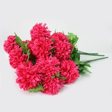 fb17ff78-fc37-4bdc-911d-702727241eea.jpg