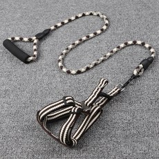 찰리스백야드하네스