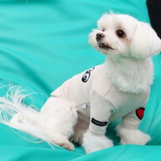 래핑찰리허그미셔츠