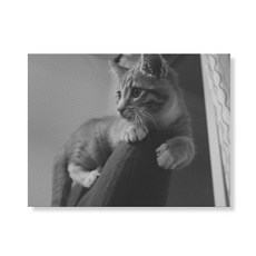 717066dc-c940-4982-9271-7ccafa5242c4.jpg