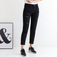 디스트로이드진