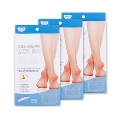 코엘프팔꿈치